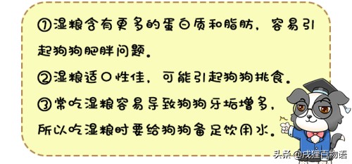 狗粮分种类来看看你家狗狗最适合哪种粮